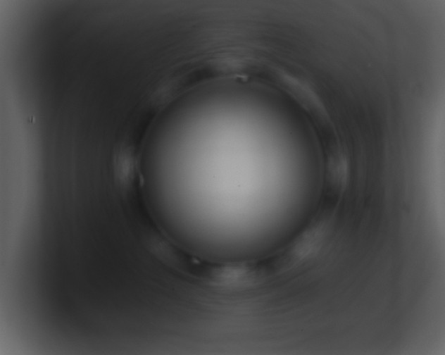 X0000101420574200807071318