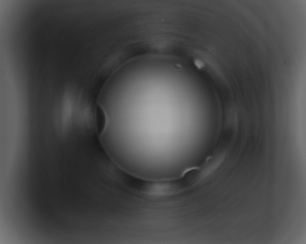 X0000101420575200807071318