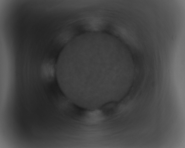 X0000101420576200807071318
