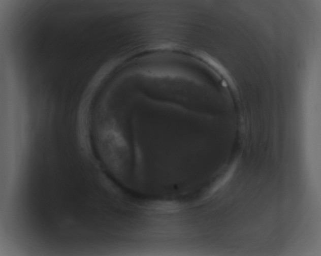 X0000101420577200807071318