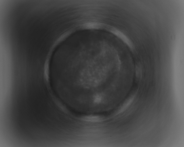 X0000101420581200807071318