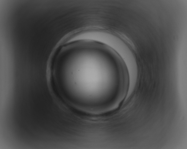 X0000101420584200807071317