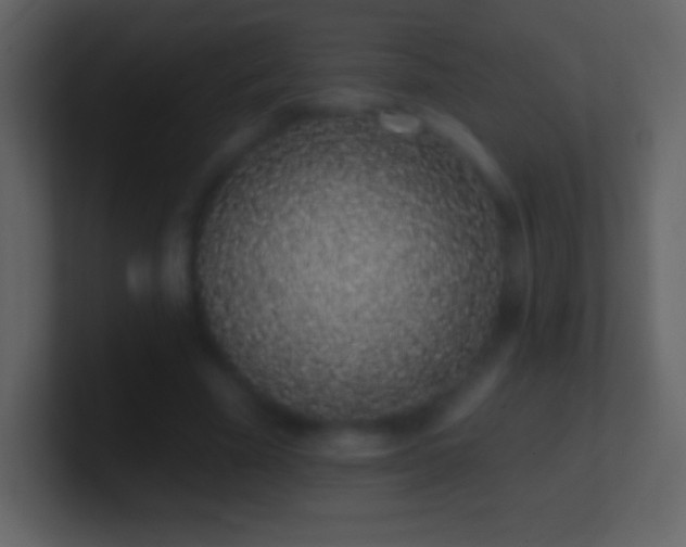 X0000101420585200807071317