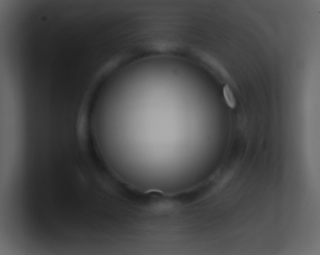X0000101420587200807071317