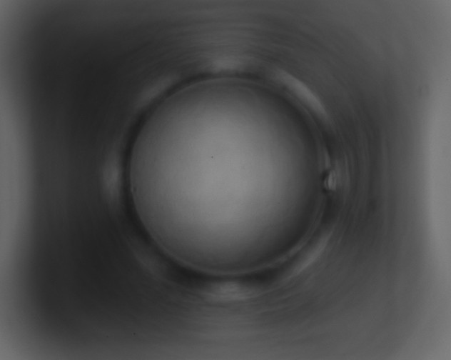 X0000101420588200807071317