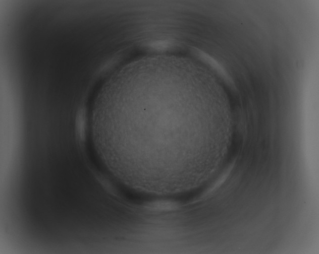 X0000101420590200807071317