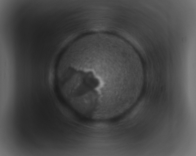 X0000101420592200807071317