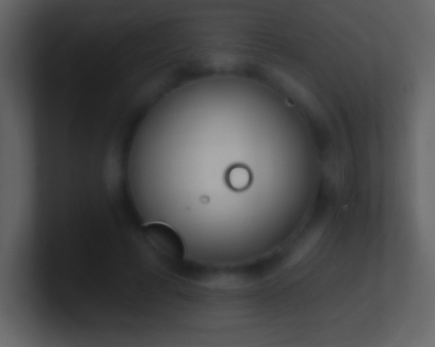 X0000101420593200807071317