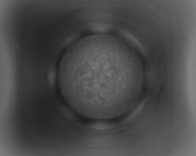 X0000101420596200807071317