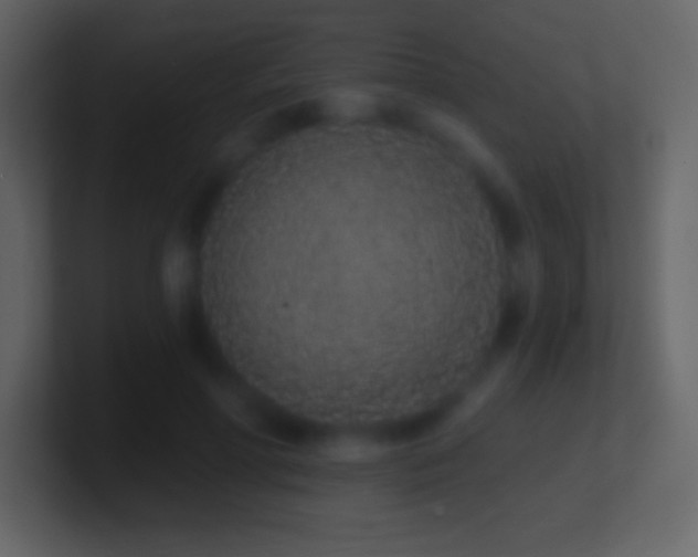 X0000101420598200807071317