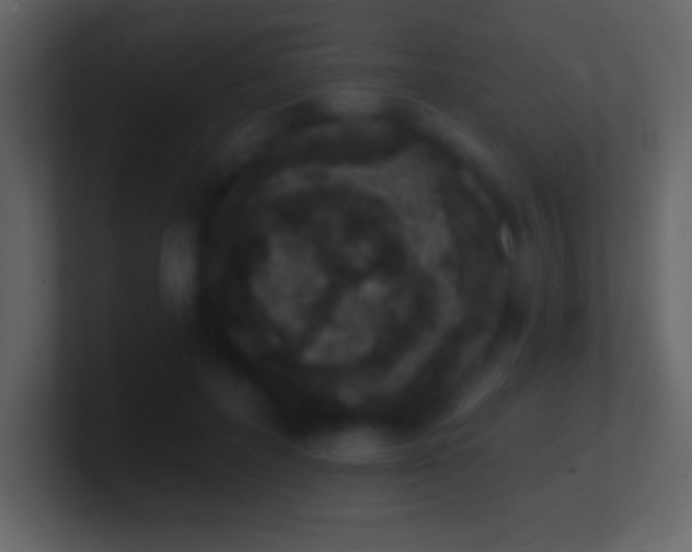 X0000101420600200807071317