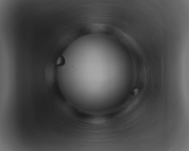 X0000101420604200807071317