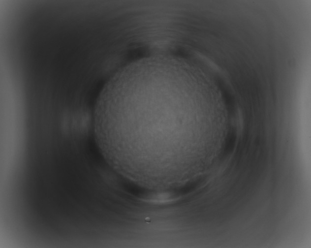 X0000101420610200807071317
