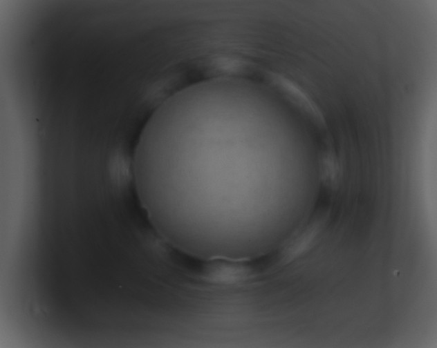 X0000101420621200807071317