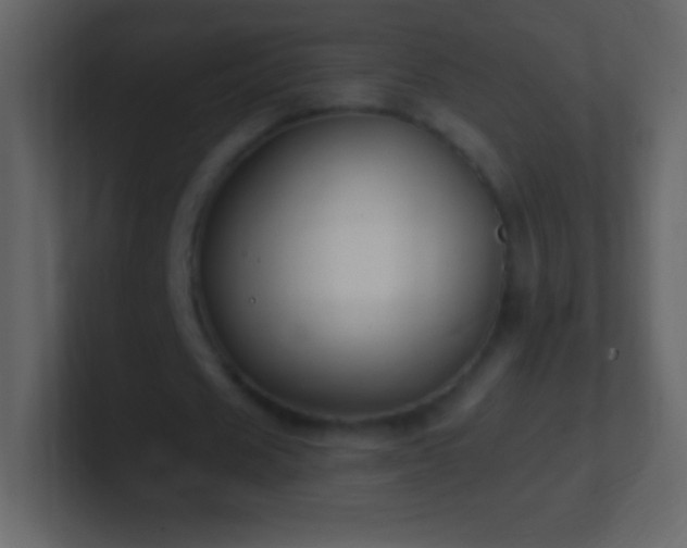 X0000101420625200807071316