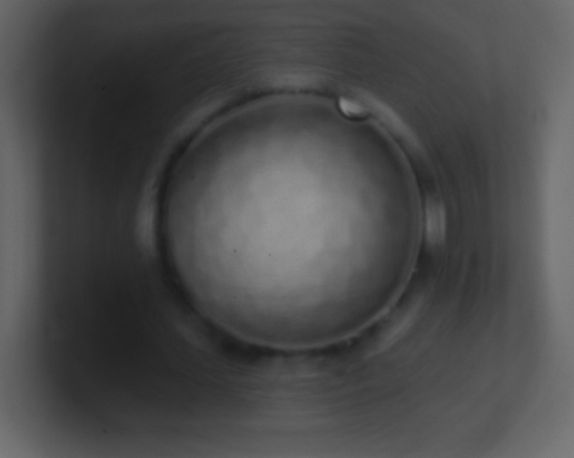X0000101420627200807071316