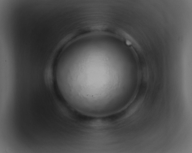 X0000101420634200807071316