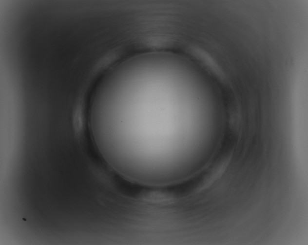 X0000101420635200807071316