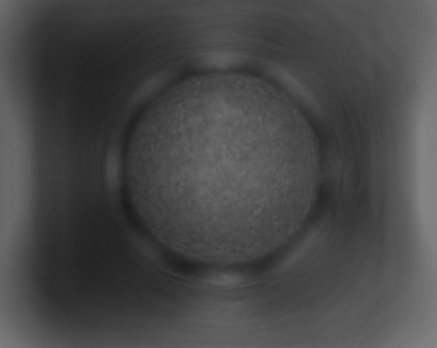 X0000101420640200807071316