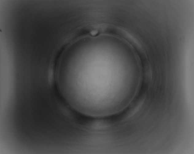 X0000101420641200807071316
