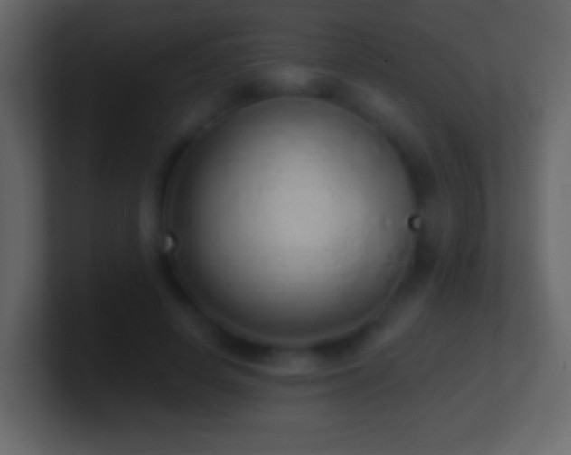 X0000101420642200807071316