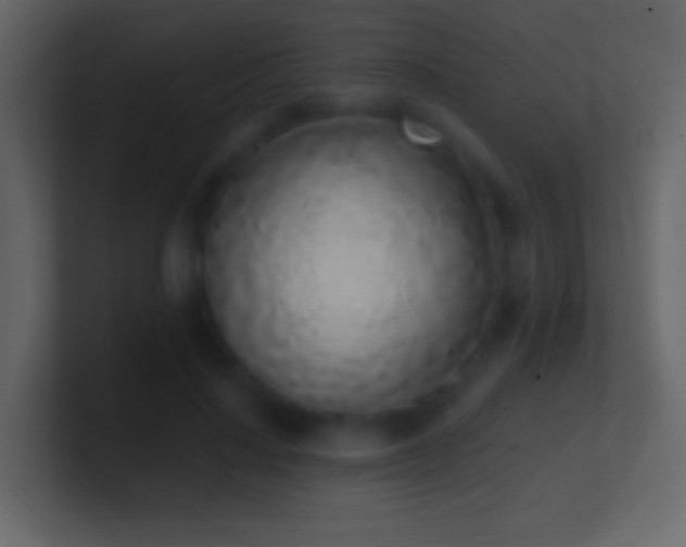 X0000101420644200807071316