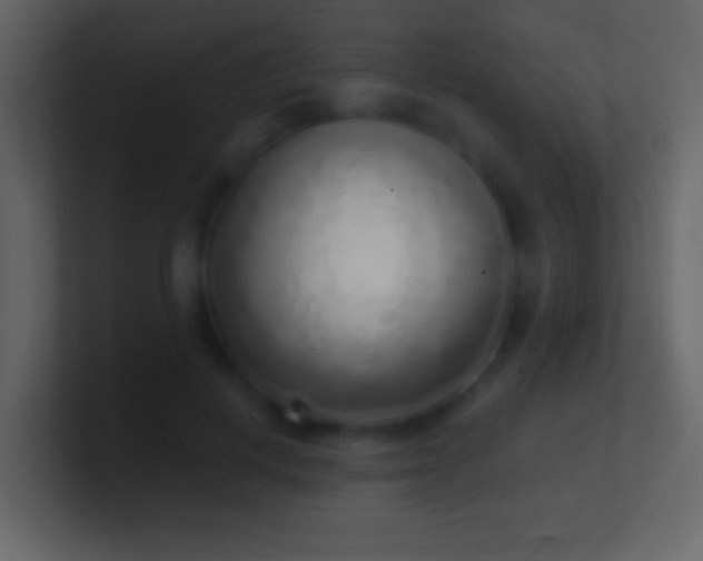 X0000101420648200807071316