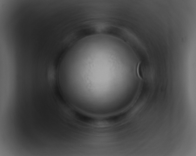 X0000101420650200807071316