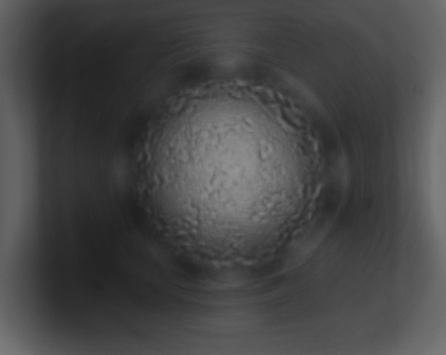 X0000101420659200807071317