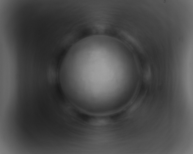 X0000101420661200807071317