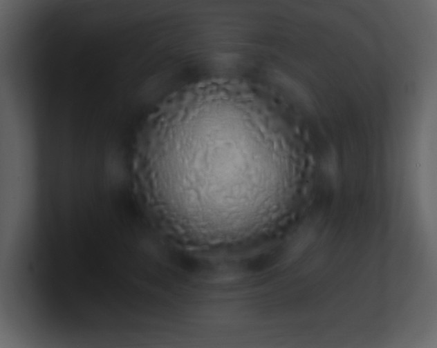 X0000101420663200807071317