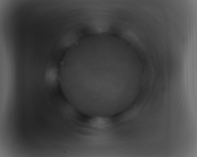 X0000101420672200807071317
