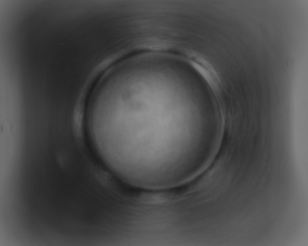 X0000101420679200807071316