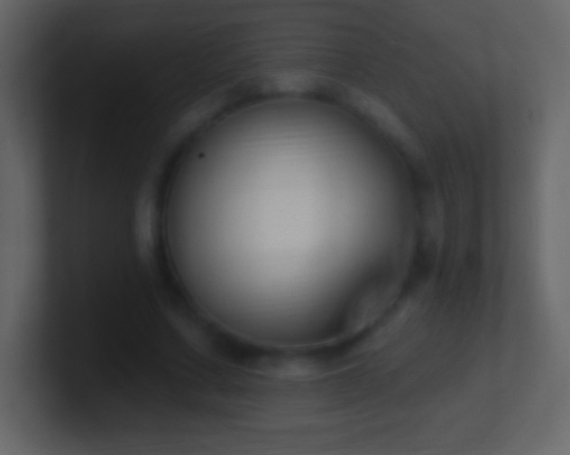 X0000101420683200807071316