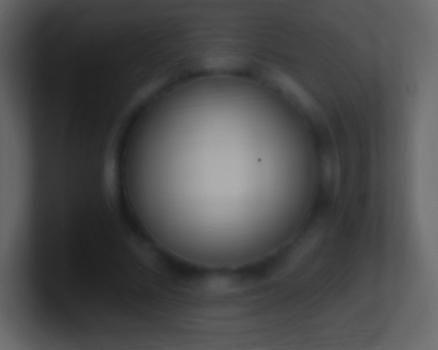 X0000101420684200807071316