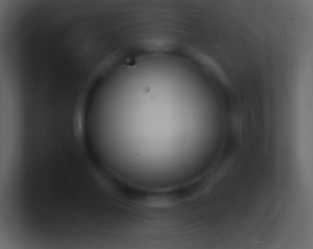 X0000101420686200807071316