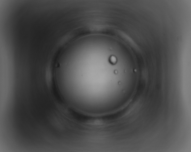 X0000101420687200807071316