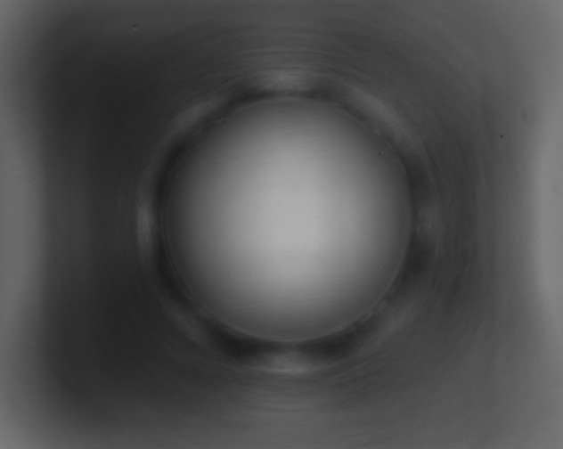 X0000101420688200807071316