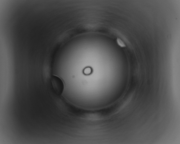 X0000101420689200807071316