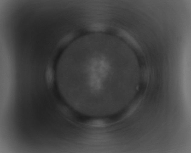 X0000101420692200807071316