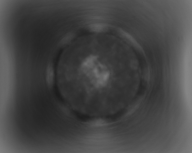 X0000101420696200807071316