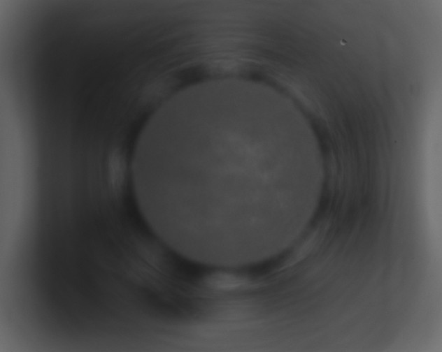 X0000101420699200807071316