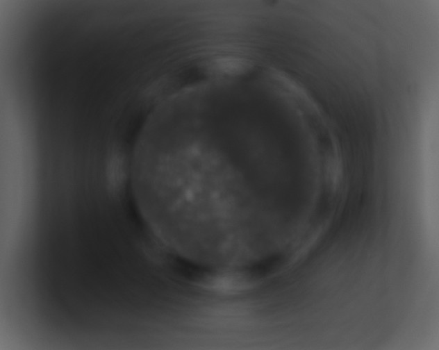 X0000101420701200807071316
