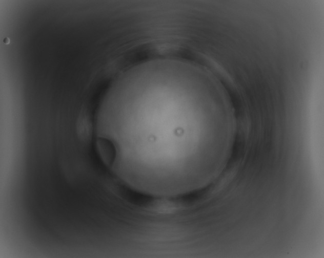 X0000101420703200807071316