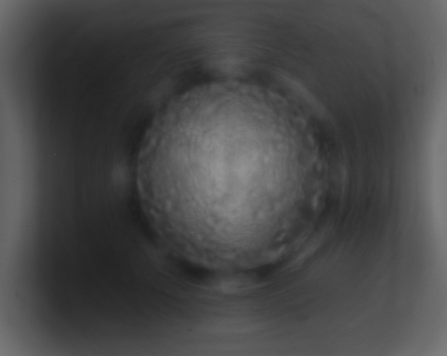 X0000101420707200807071316