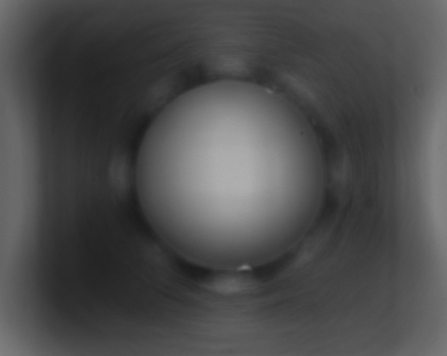 X0000101420708200807071316