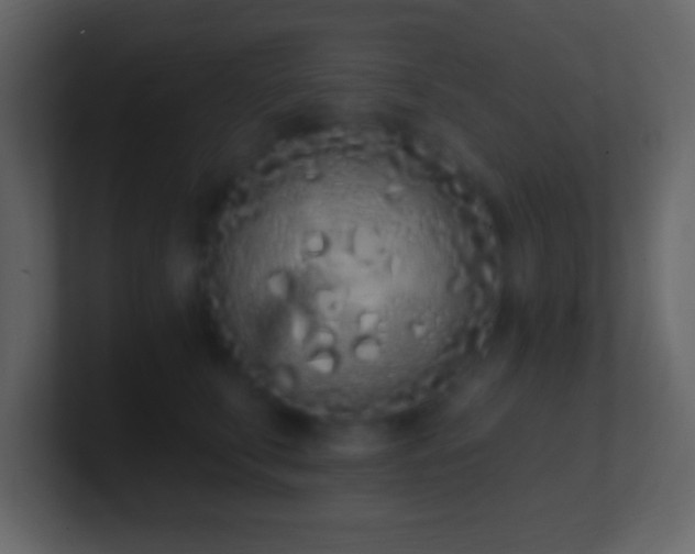 X0000101420711200807071316