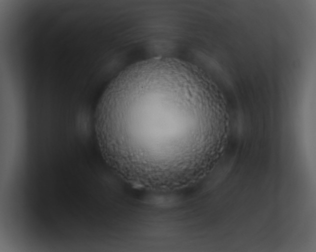 X0000101420712200807071316