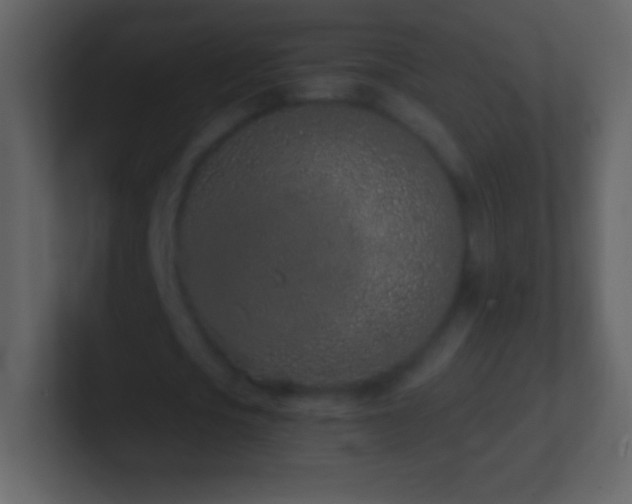 X0000101420721200807071315