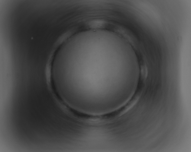X0000101420725200807071315